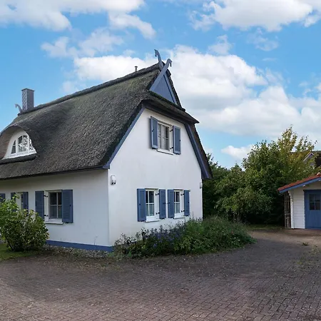 Muschelsucher Timmendorf