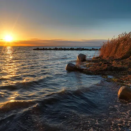 Muschelsucher Timmendorf